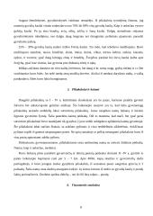 Baltų gentys: "Aukso amžius" 8 puslapis