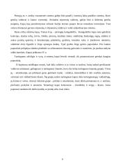 Baltų gentys: "Aukso amžius" 9 puslapis
