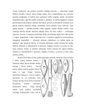 Baltų ginklai 3 puslapis