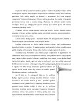 Baltų ginklai 6 puslapis