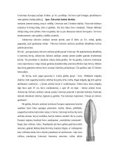 Baltų ginklai 7 puslapis