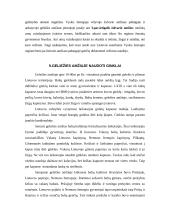 Baltų ginklai 8 puslapis