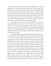 Baltų ginklai 9 puslapis