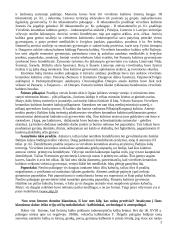 Baltų kultūra 2 puslapis