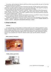 Baltų kultūra 12 puslapis