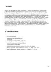 Baltų kultūra 13 puslapis