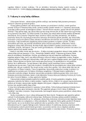 Baltų kultūra 4 puslapis