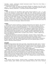 Baltų kultūra 7 puslapis