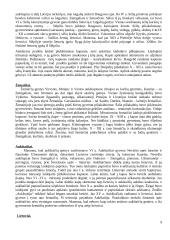 Baltų kultūra 8 puslapis