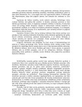 Bažnytinė santuoka 6 puslapis