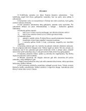 Bažnytinė santuoka 8 puslapis