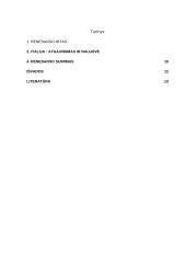 Bendroji Renesanso kultūros charakteristika 2 puslapis