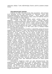 Budizmo tikėjimas 4 puslapis