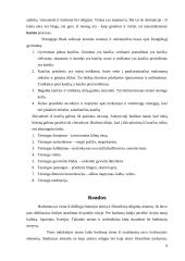 Budizmo mokymas 9 puslapis