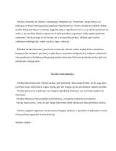 Burnos ertmės gerybiniai navikiniai susirgimai 2 puslapis