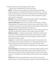 Burnos ertmės gerybiniai navikiniai susirgimai 4 puslapis