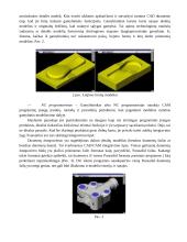 CAD CAM sistemų integravimas 2 puslapis