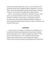 Viskas apie Čekiją 11 puslapis