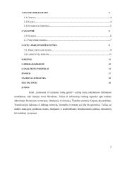 Dakų-getų civilizacija 2 puslapis