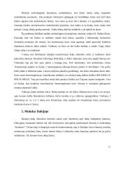 Dakų-getų civilizacija 11 puslapis