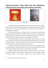 Dakų-getų civilizacija 14 puslapis