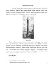 Dakų-getų civilizacija 4 puslapis