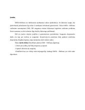 Deffie Hellman rakto apsikeitimo algoritmas 2 puslapis
