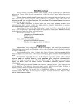 Diabetinė retinopatija 3 puslapis