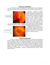 Diabetinė retinopatija 8 puslapis