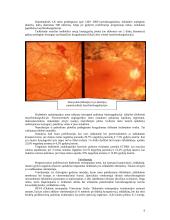 Diabetinė retinopatija 10 puslapis