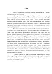 Didieji pasaulio stebuklai 2 puslapis
