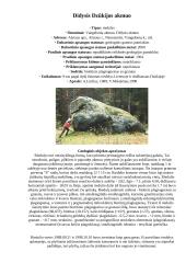 Didžiausi Lietuvos akmenys 11 puslapis