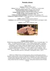 Didžiausi Lietuvos akmenys 4 puslapis