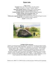 Didžiausi Lietuvos akmenys 7 puslapis