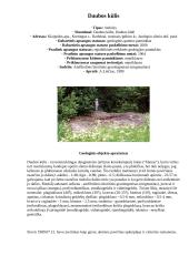 Didžiausi Lietuvos akmenys 9 puslapis