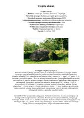 Didžiausi Lietuvos akmenys 10 puslapis