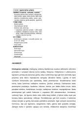 Diferencinė užkimimo diagnostika 4 puslapis