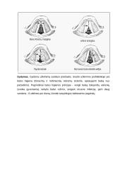 Diferencinė užkimimo diagnostika 10 puslapis