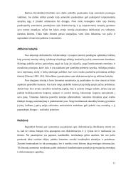 Diskriminacija kaip folkloro žanras 11 puslapis