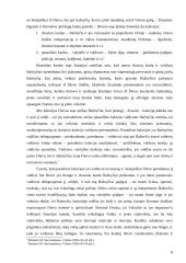 Dviejų Kalavijų teorija 8 puslapis