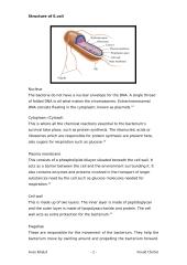 E.coli; pro-biotic, vitamin source or fatal toxin? 2 puslapis