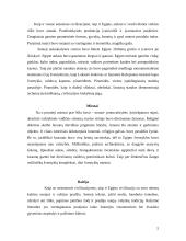 Egipto civilizacijos dvasia ir tradicijos 5 puslapis