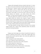 Egipto civilizacijos dvasia ir tradicijos 6 puslapis