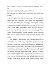 Egipto civilizacijos dvasia ir tradicijos 7 puslapis