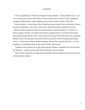 Eketės piliakalnis 2 puslapis