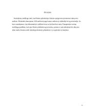 Eketės piliakalnis 11 puslapis