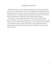 Eketės piliakalnis 6 puslapis