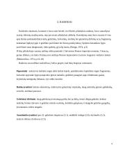 Eketės piliakalnis 9 puslapis