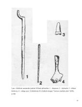 Eketės piliakalnis 10 puslapis
