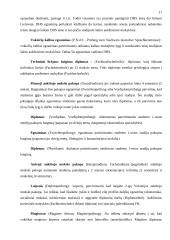Ekonomikos studijų ypatumai Vokietijos universitetuose 11 puslapis
